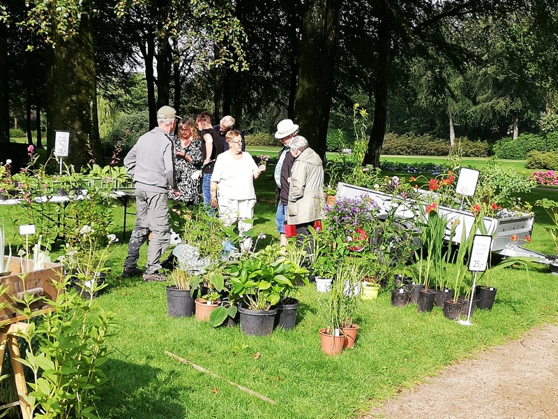 Haveselskabets plantemarked er lørdag 20. maj ved den runde pavillon i Rhododendronparken i Brønderslev.