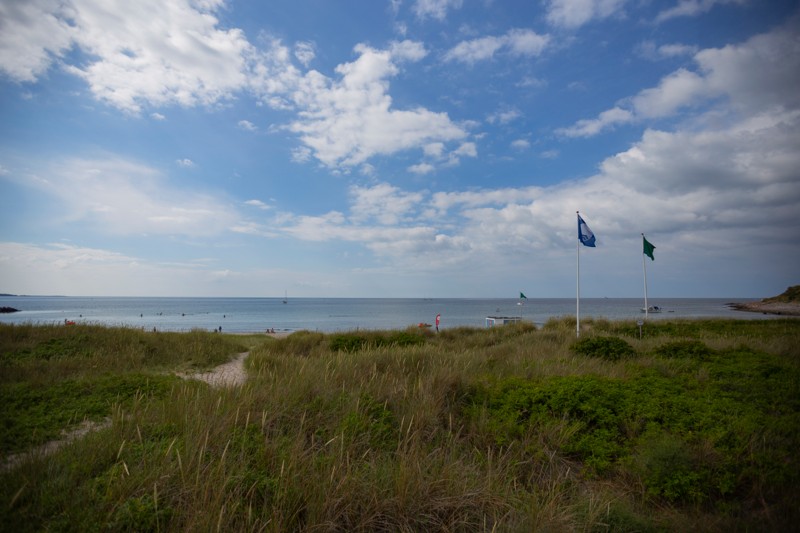 Friluftsrådet uddeler i år Blå Flag til 153 strande og 15 havne.