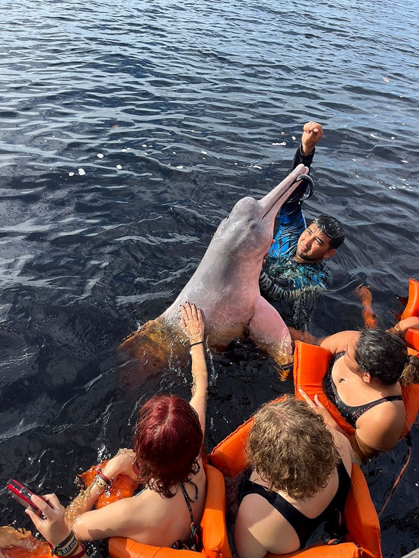 Amazonas-turen bød blandt andet på at svømme med delfiner.